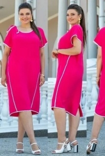 Andina 815-1