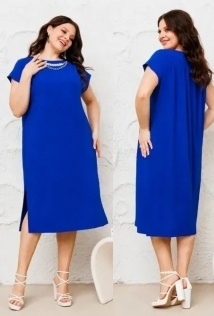 Danaida 2228