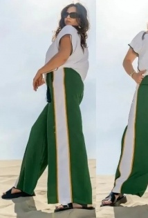 Andina 950