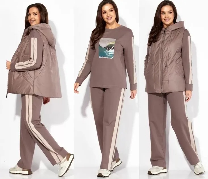 Комплект, свитшот, брюки, жилет, плащ, костюм Taier 1335-2