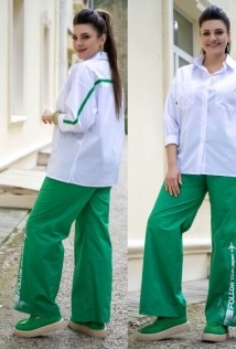 Andina 229