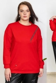 Camelia 2440/1