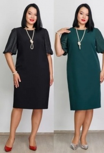 Camelia 2550