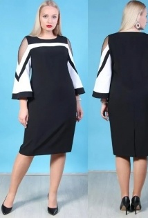 Camelia 20120/1
