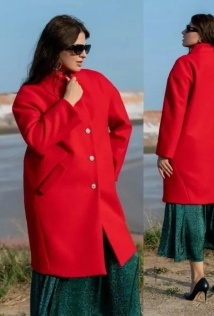 Andina 1005