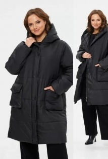 Modema 1029