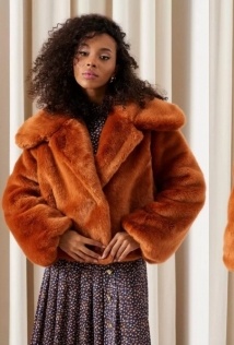 Colors of Papaya 1743