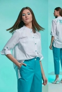 Andina 102