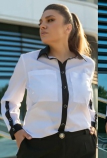 Andina 117